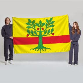 Флаг большой односторонний Ломоносовский
