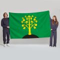 Флаг большой двусторонний Нагатино-Садовники
