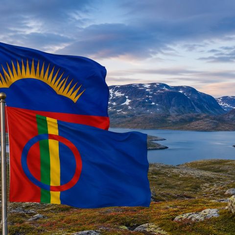 Флаги народов России: чем отличаются от флагов регионов